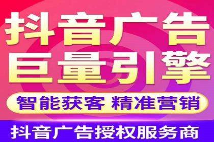 搜索引擎优化（SEO）与竞价广告（SEM）的对比案例